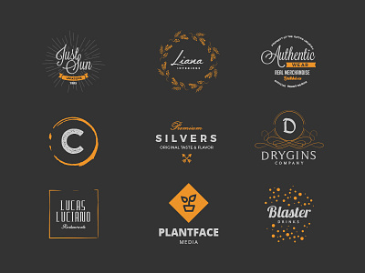 The Professional Logo Creators Kit - Logo Templates