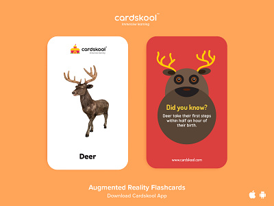 Cardskool Card Design (Deer) augmented reality cards design cardskool flash cards graphicdesign illustration immersive kids learning learning app new