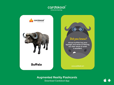 Cardskool Card Design (Buffalo) augmentedreality buffalo cardskool flash cards for kids game graphic design green illustration kids kids app