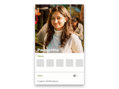 WhatsApp Profile Interaction in Principle drivers interaction principle profile ui whatsapp