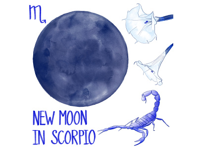 New Moon in Scorpio drawing editorial illustration illustration ink watercolor