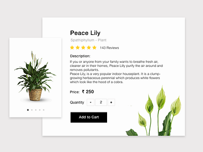Daily UI #012 Single Product challenge daily daily ui peace lily plant plants e commerce single product ui