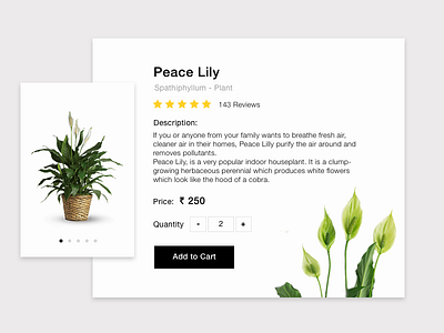 Daily UI #012 Single Product