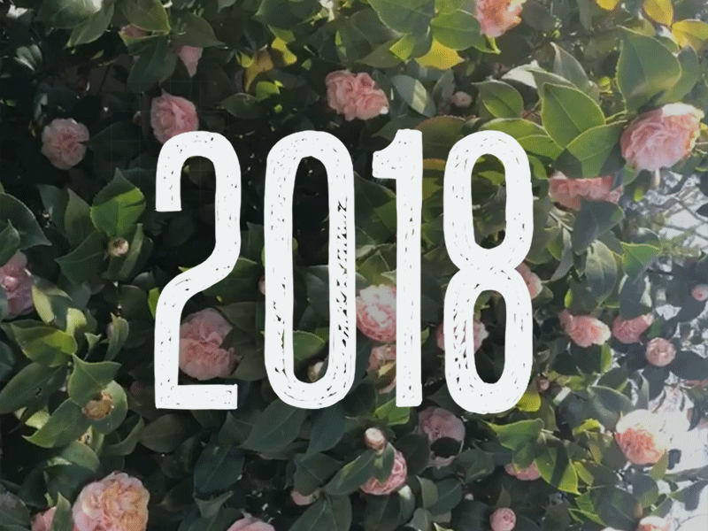Happy 2018! animation gif hand type handletter lettering roses typography