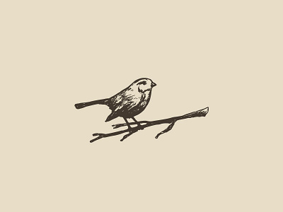 Bird logo bird branch sketchy