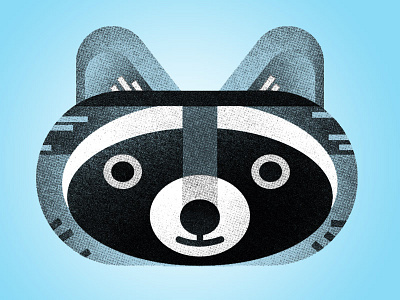 Raccoon!