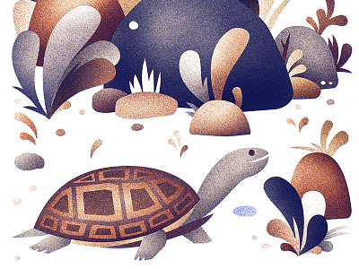 Wild Turtle illustration turtle wip