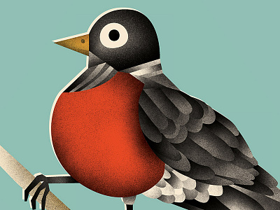 Spring Robin wip bird blue illustration red robin