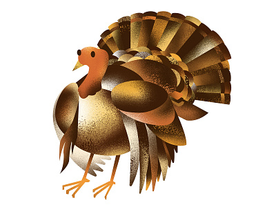 🦃 bird turkey