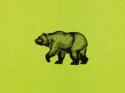 Halftone Bear