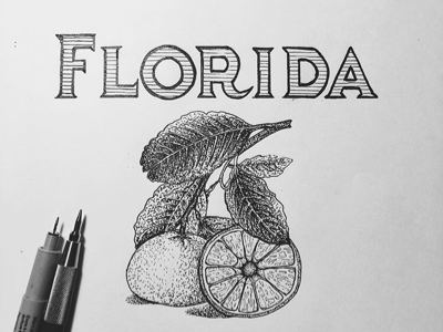 Florida Grown drawing florida illustration orange pen pencil