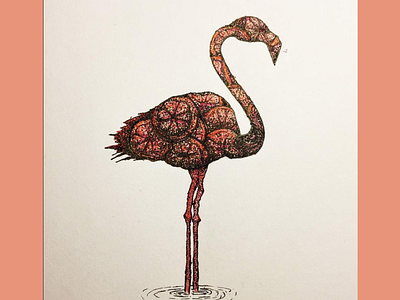Flamingo Sketch drawing flamingo florida illustration oranges pen pink
