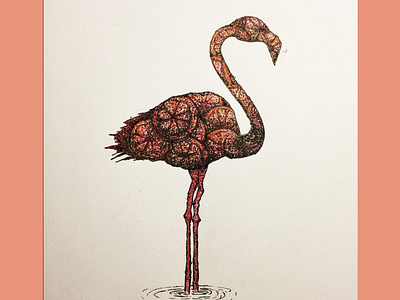 Flamingo Sketch