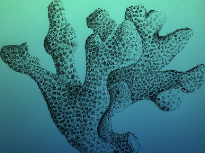 Scale the Reef beach blue design dotwork draw gradient illustration ocean pen pencil pointillism reef