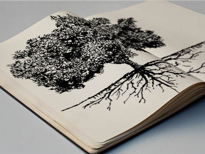 FL Roots art blackandwhite design dot handdrawn illustration orange pen pencil roots sketchbook tree