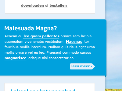 Malesuada Magna? more read