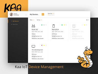 KaaIoT Device Management Dashboard dailyui ux visual webdesign