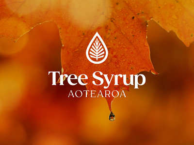 Tree Syrup Aotearoa - Brand Identity branding corporate graphic design logo research science typography web design webflow