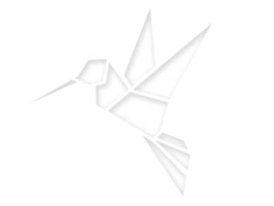 Geometric Birdy design flying geometric hummingbird icon ivan griessel logo origami shadow