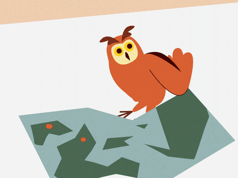 Owl 2d after affects animals animation bird character illustration journey map wing