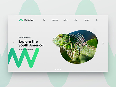 Daily Ui WildNature explore green iguana nature ui ux web wild