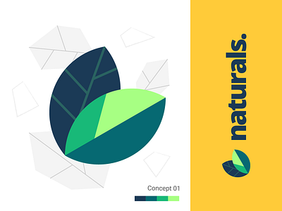 Naturals logo - Concept abstract art graphic icon illustration leaf logo minimal simple typography vector