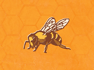 Bee bee bumble bee bumblebee design honey hornet illustration logo print retro vector vintage