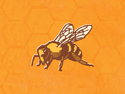 Bee