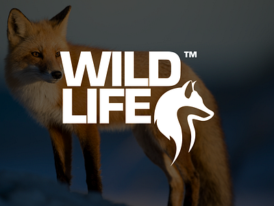 Wildlife - Logotype animal logo design brand identity design branding design fox logo identity logo logo design logomark logotype wildlife wildlife logo design wolf logo