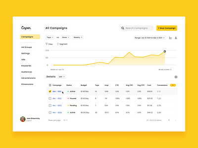 Dashboard for Ad Campaigns