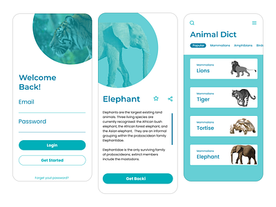 Dictionary Animal app design ui ux