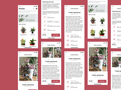 Flories - Buy Plants Online