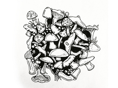 Mushrooms - 09/08/2015