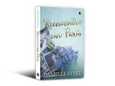 Cover design of "Reencontro em Paris" book cover danielle steel honor thyself record reencontro em paris