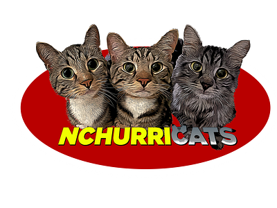 The NCHurricats 2022 Social Media Graphic branding graphic design logo photoshop