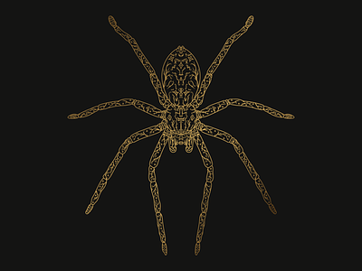 Spider doodle gold gradient insect spider