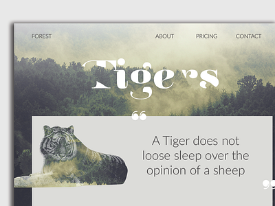 Landing Page #dailyui #003 dailyui forest homepage landing page tiger ui ux