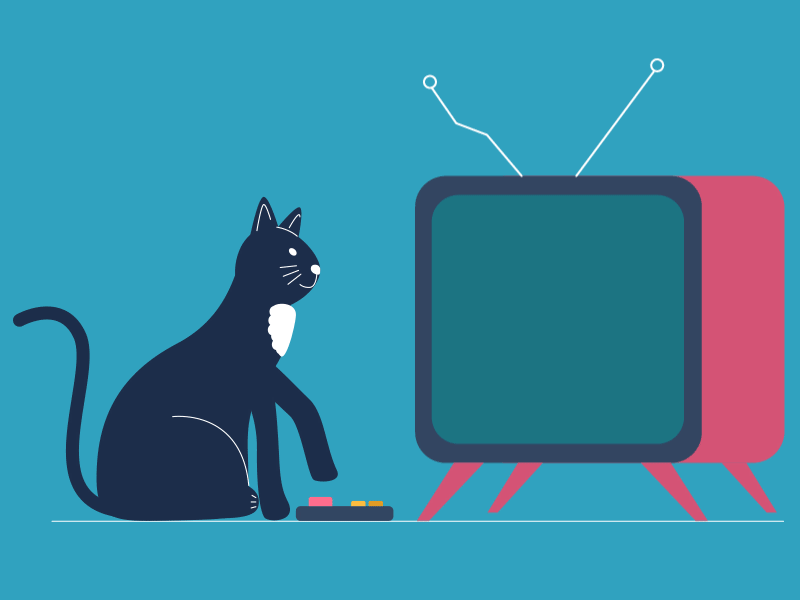Cat & TV after effects animation cat design gif illustration motion design tv vector