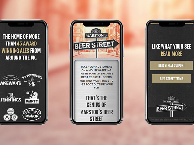 Beerstreet beer brewery loyalty micro site scheme street website