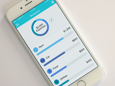 Budget Planner iPhone App app budget chart data expenses finance ios iphone manage ui design