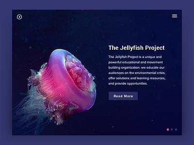 Jellyfish Project app clean inspiration jellyfish ui