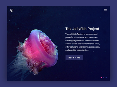 Jellyfish Project