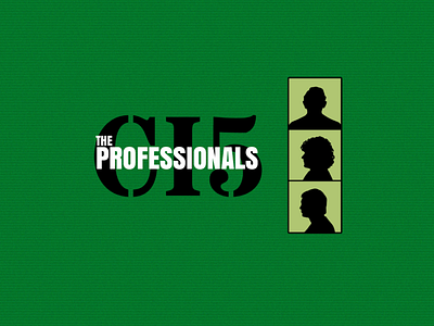 The Professionals