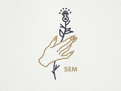 Thistle Witch Hand drawing illustration line vector