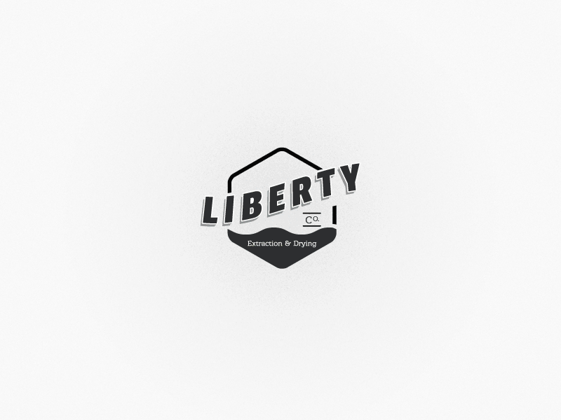 Dribbble liberty logo animation