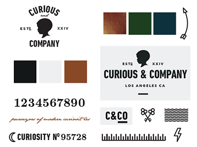 Curious & Co Brand Overview - work in progress brand identity branding icons logo