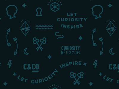 Curious & Co Pattern brand identity branding elements icons pattern