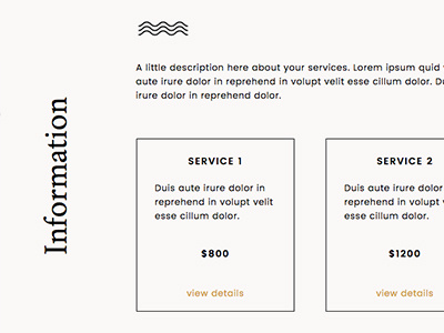 Go Live District Theme Services Detail branding minimal showit typography web design web theme website