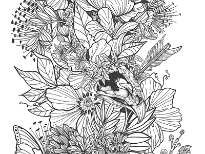 Flora & Fauna illustration