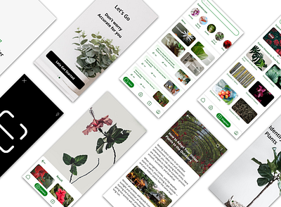 Plant Identifier app design typography ui ux